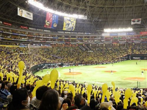 燃燒野球靈魂的遠征！味全龍攜手東南旅遊推「福岡熱血應援團」，與小龍女共譜夢幻野球夢！